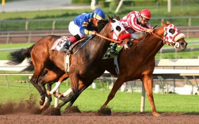 Spring Racing Carnival Limo Hire Melbourne